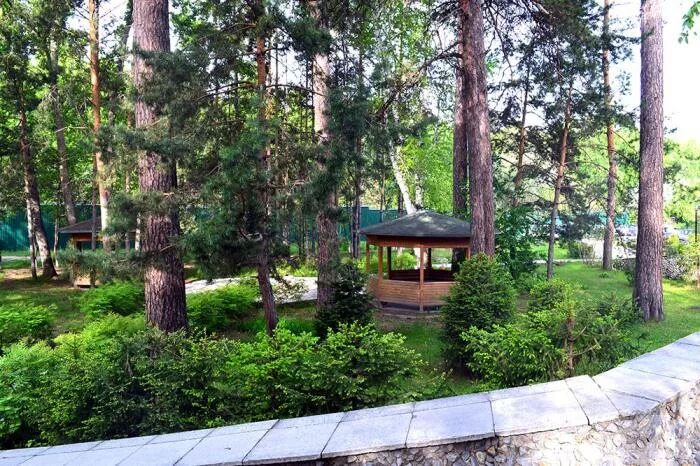 Улица красный сокол 29 бердск. Город бердск санаторий парус. Санаторий парус бердск номера. Красный сокол 23 бердск. Город бердск новосибирская область санаторий.