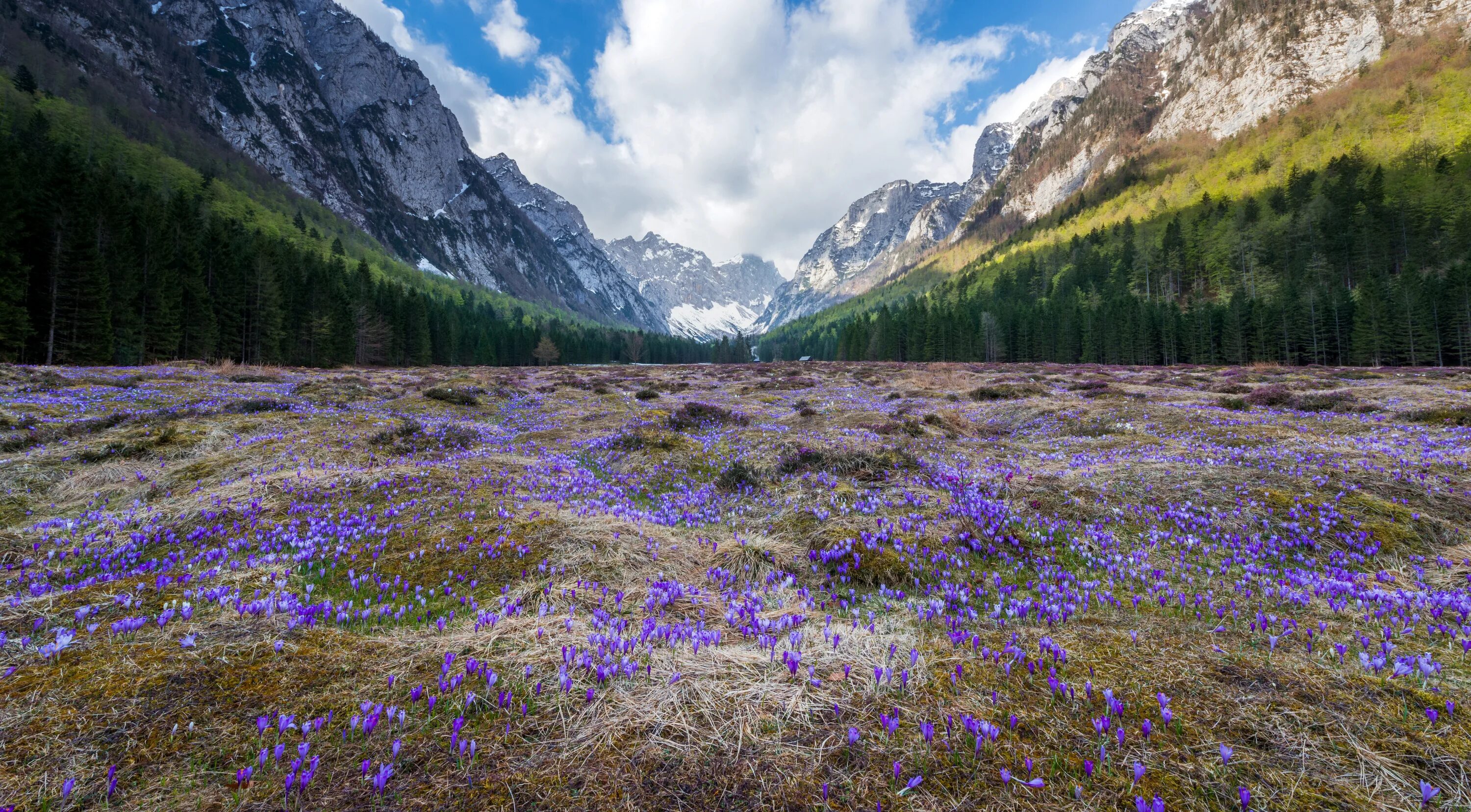 Spring condition