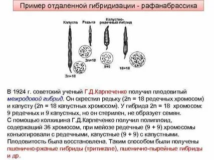 В каком случае появляется