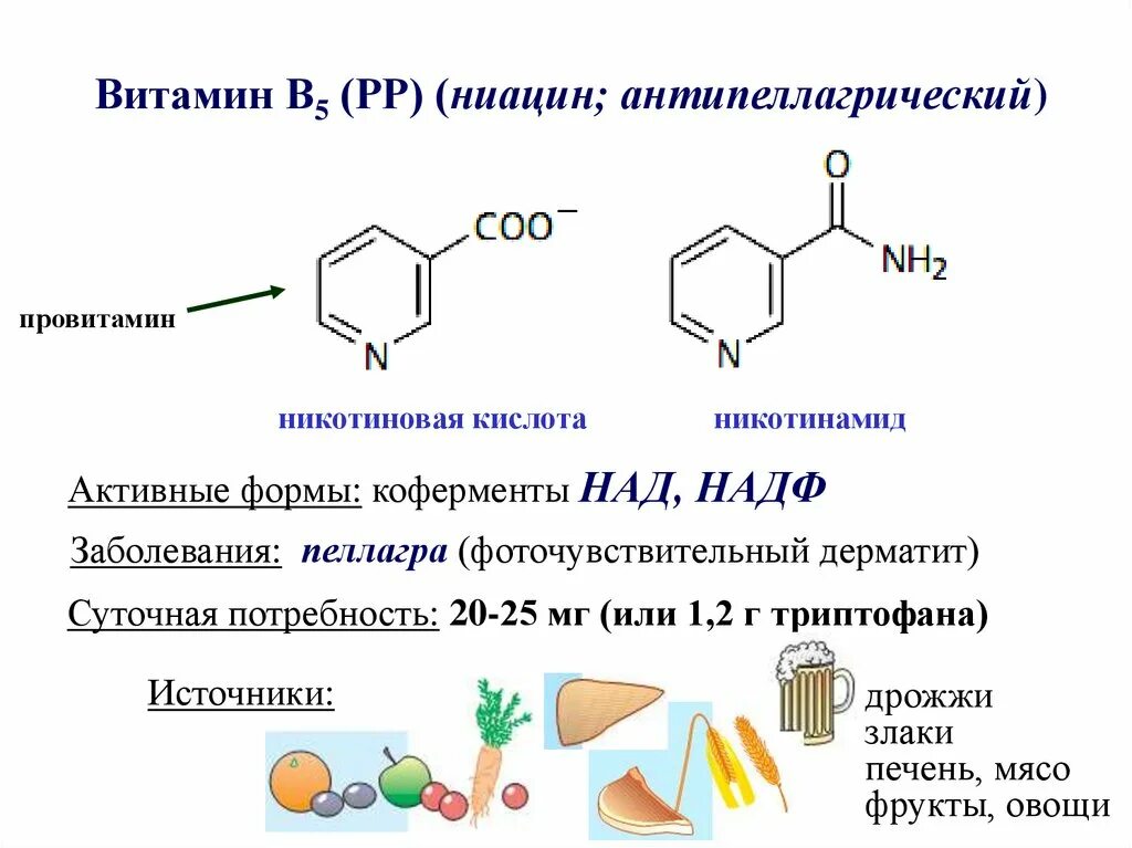 Активная форма в 5. Витамин в5 никотиновая кислота. Витамин b5 никотиновая кислота. Витамин б3 ниацин. Кофермент витамина в5.