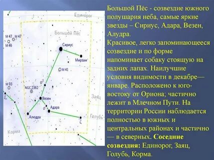 Почему мне хочется увидеть созвездие большой пес