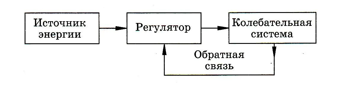 Примером автоколебательной системы является. Элементы автоколебательной системы. Основные элементы автоколебательной системы. Блок схема автоколебательной системы. Автоколебания схема.