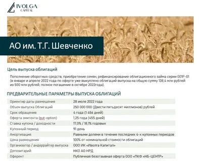 Выпуск облигаций акционерного общества