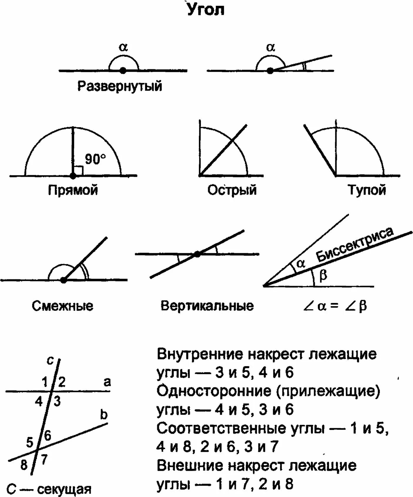 Смежные углы сколько градусов. Углы смежные вертикальные развернутый угол. углы в геометрии.