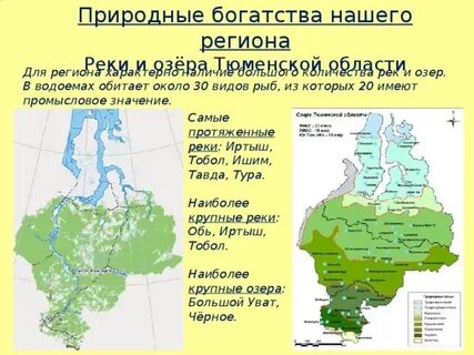 Тюменская область сообщение кратко