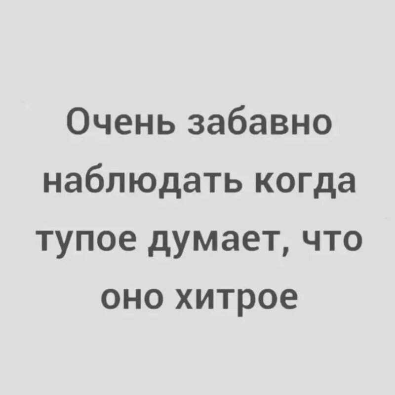 Очень забавно наблюдать когда тупое думает. Очень забавно наблюдать когда тупое думает что оно хитрое. Очень забавно наблюдать. Смешно когда тупое думает что оно хитрое. Глупый хотеться