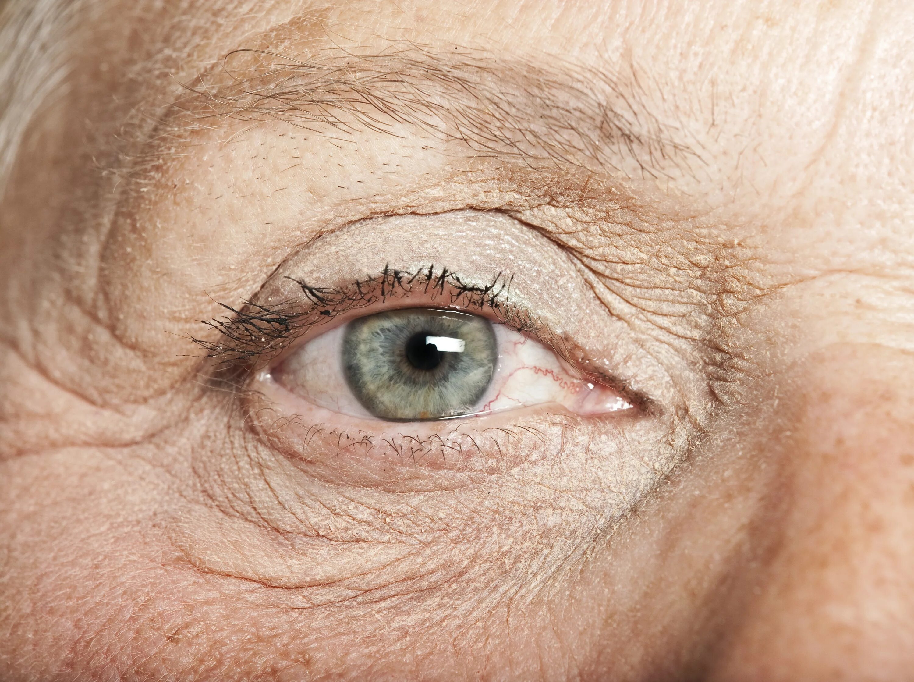 Как изменяются века. Глаза пожилого человека. Глаза подлого человека.