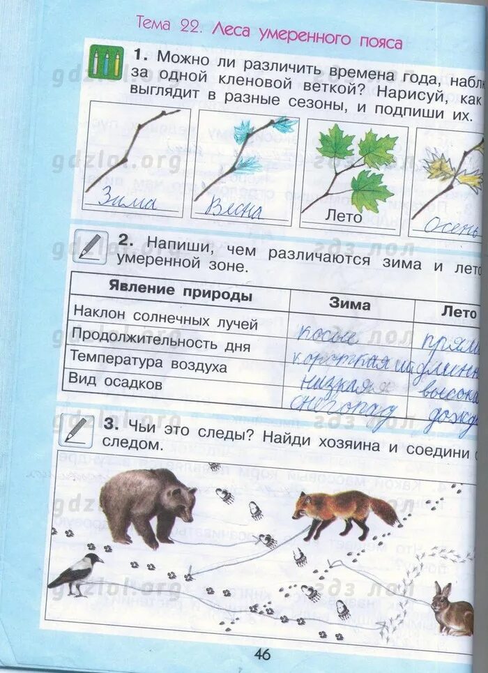 Окружающий мир плешаков школа россии 3 класс рабочая тетрадь 2. Окружающий мир 2 класс рабочая тетрадь перспектива. А. Окр мир 2кл раб. Окружающий мир 2 класс рабочая тетрадь 1 часть плешаков стр 78-81 ответы.