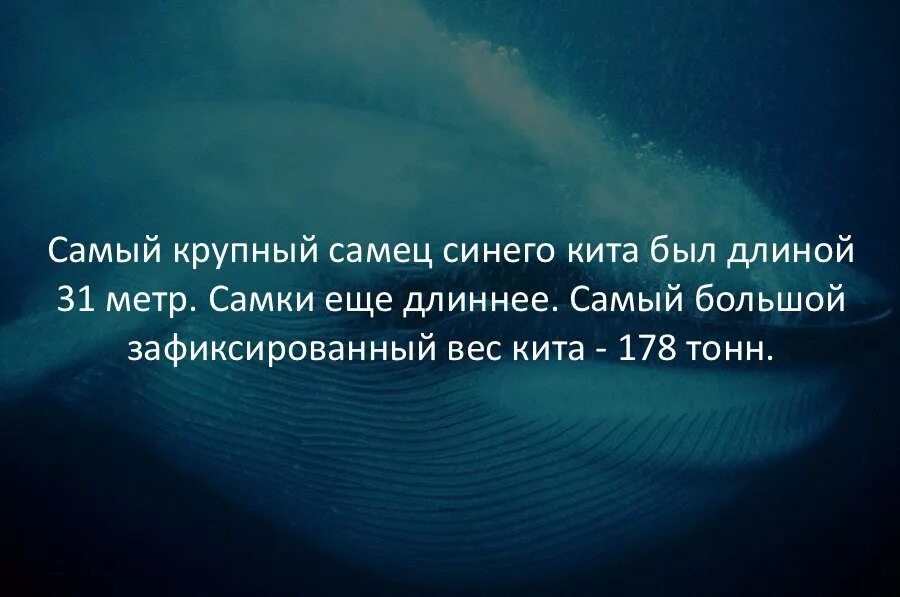 Интересные статьи о мире. Факты. Интересные факты. Интересные факты обо всем на свете. Удивительные факты.