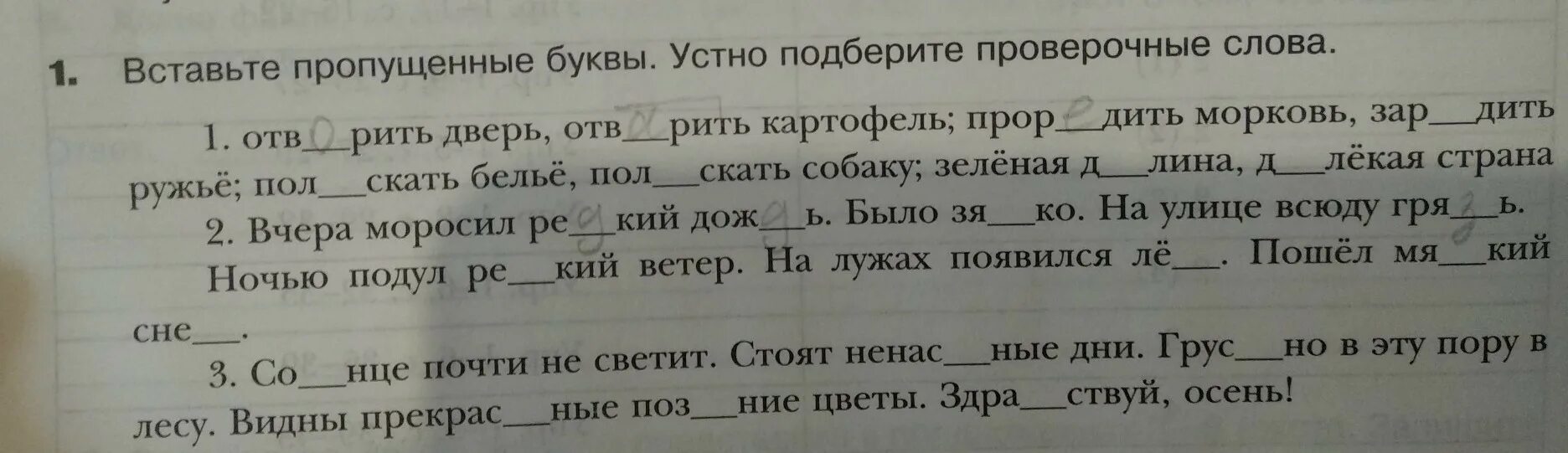 Спиши вставь пропущенные буквы подобрав проверочные. Русский вставь пропущенные буквы устно подбирая проверочные слова. Морковь проверочное слово. Морковный проверочное слово. Вставьте пропущенные буквы и подберите проверочные слова 5 класс.