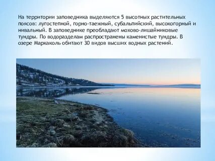 Сл озы