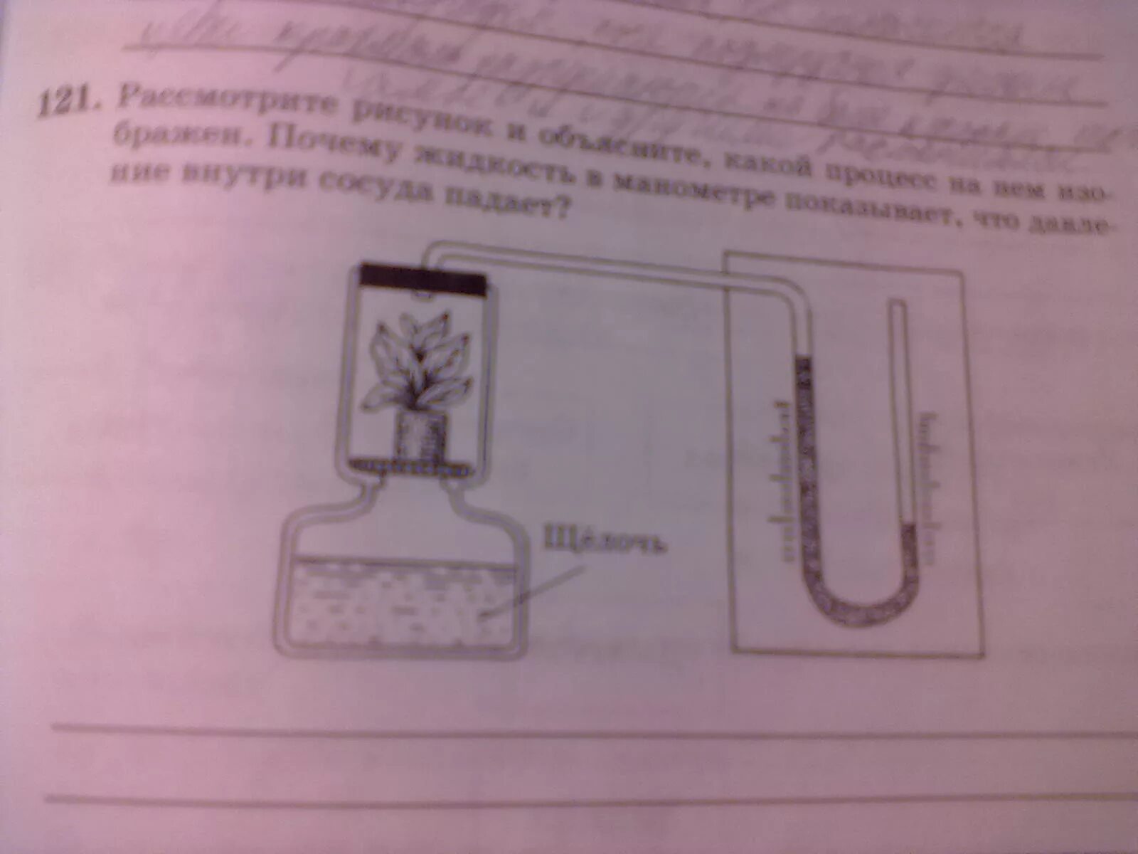 Рассмотрите рисунок в каком сосуде семена. Рассмотрите рисунок какой процесс на нем изображен. Сосуд с растением и манометр. Рассмотрите рис 1 объясните какой процесс изображен на нем. Рассмотрите рисунок и объясните какой процесс на нём изображён.