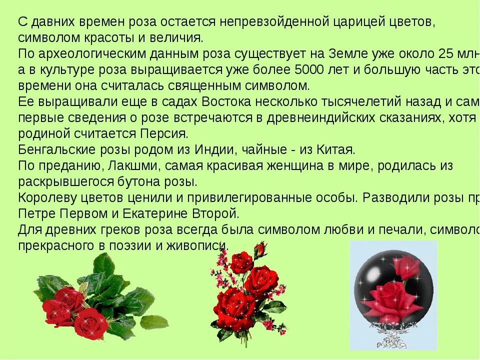 Розочка слова. Описание розы в научном стиле. Описание цветка розы. Сочинение про розу.