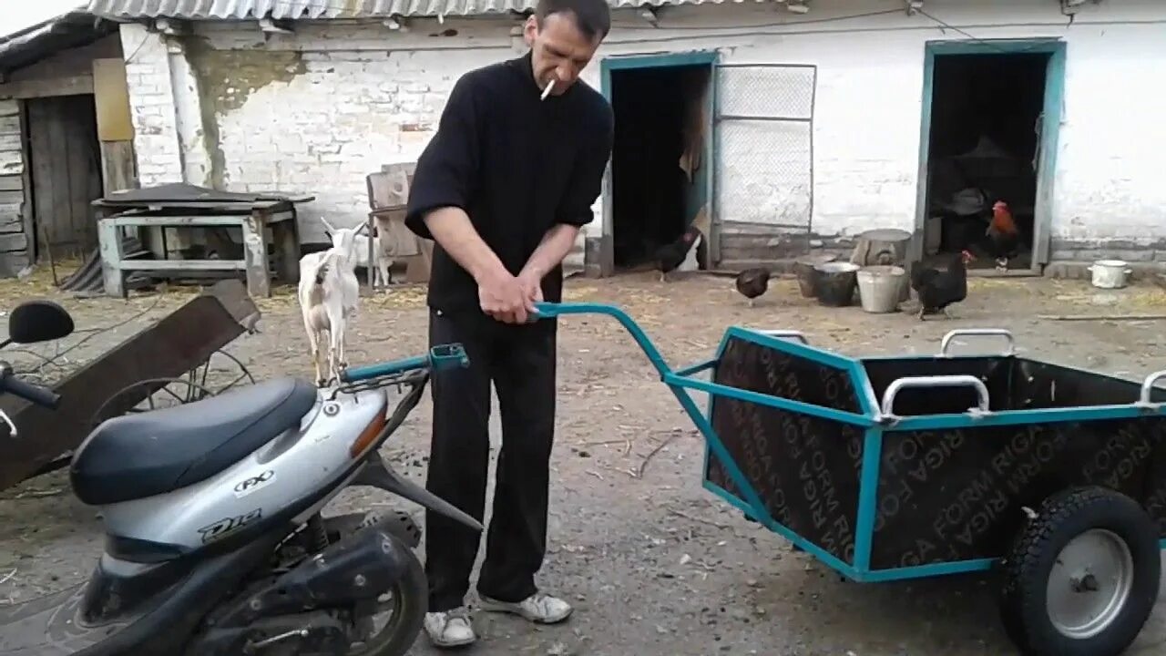 Прицепы для мопедов задний