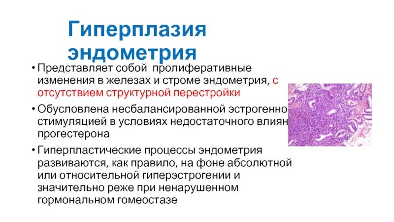 Лечение гиперплазии эндометрии народными средствами. Гиперпластические процессы эндометрия. Терапия гиперплазии эндометрия. Гиперпластические процессы эндометрия лечение. Препараты при гиперплазии эндометрия.