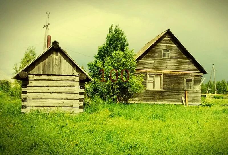 Село верхняя тойма, архангельская область,центральная улица. Авито верхняя тойма. Дома в тойме. Нижняя тойма дом за 800 тыс. Средняя тойма дома.