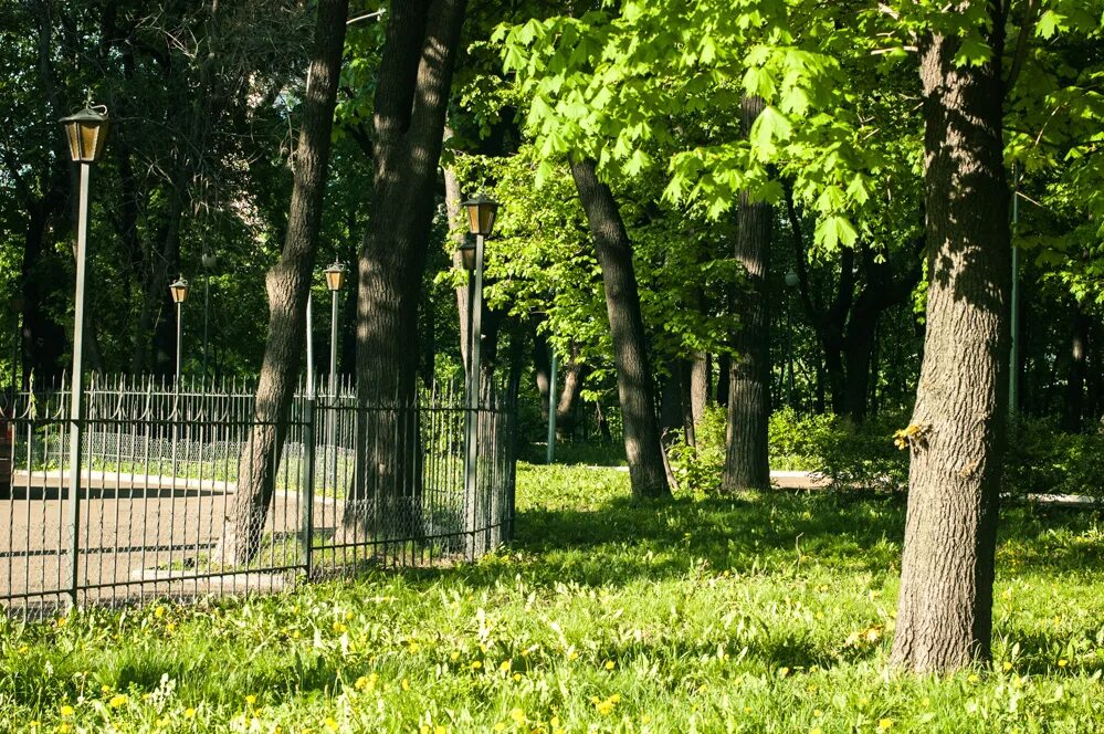 Парк 1 мая Москва. Парк имени 1 мая Лефортово. Зеленый парк Москва. Детский парк им 1 мая Москва.