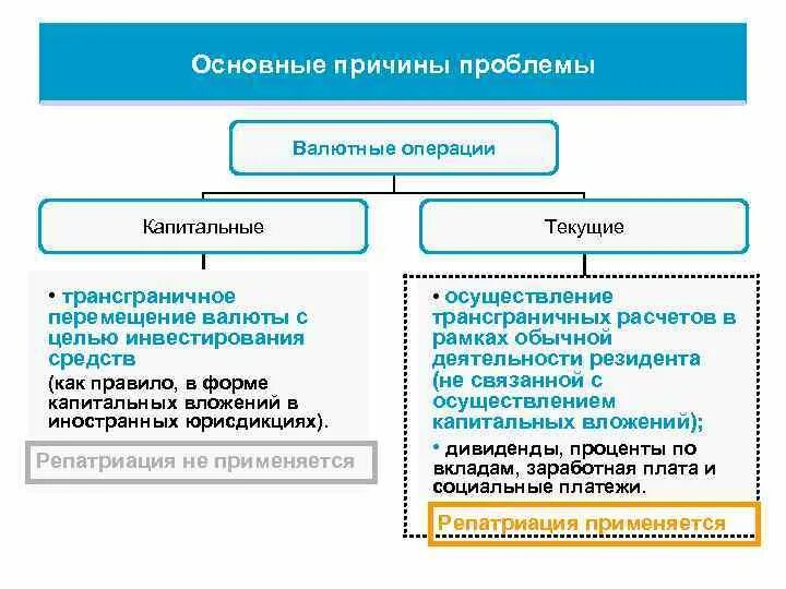 Осуществляют государственную валютную политику. Осуществляют государственную валютную политику
