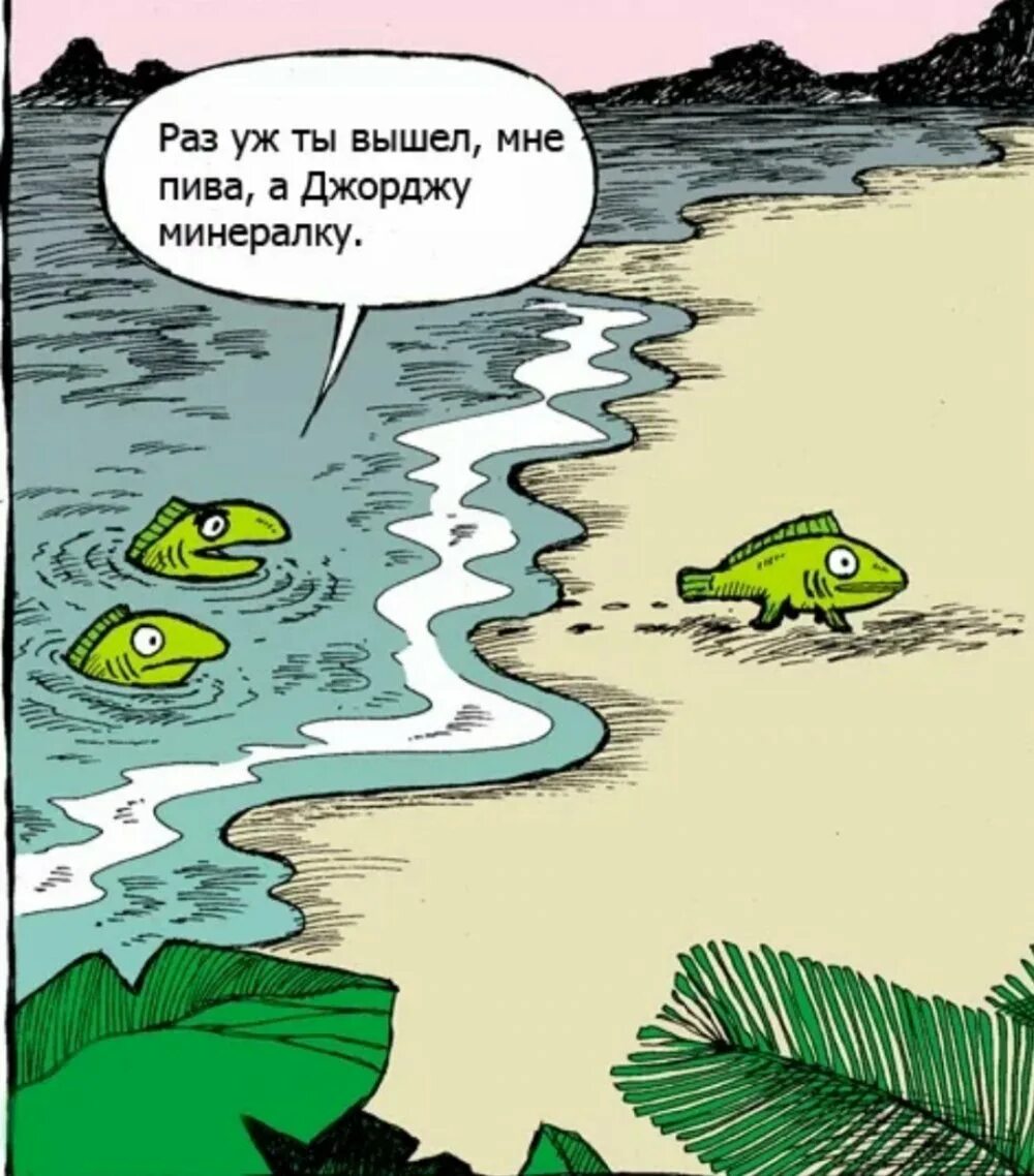 Жизнь в воде эволюция. Шутки про рыбу. Рыба выходит на сушу. Смешные шутки про рыб. Шутки про рыбок.