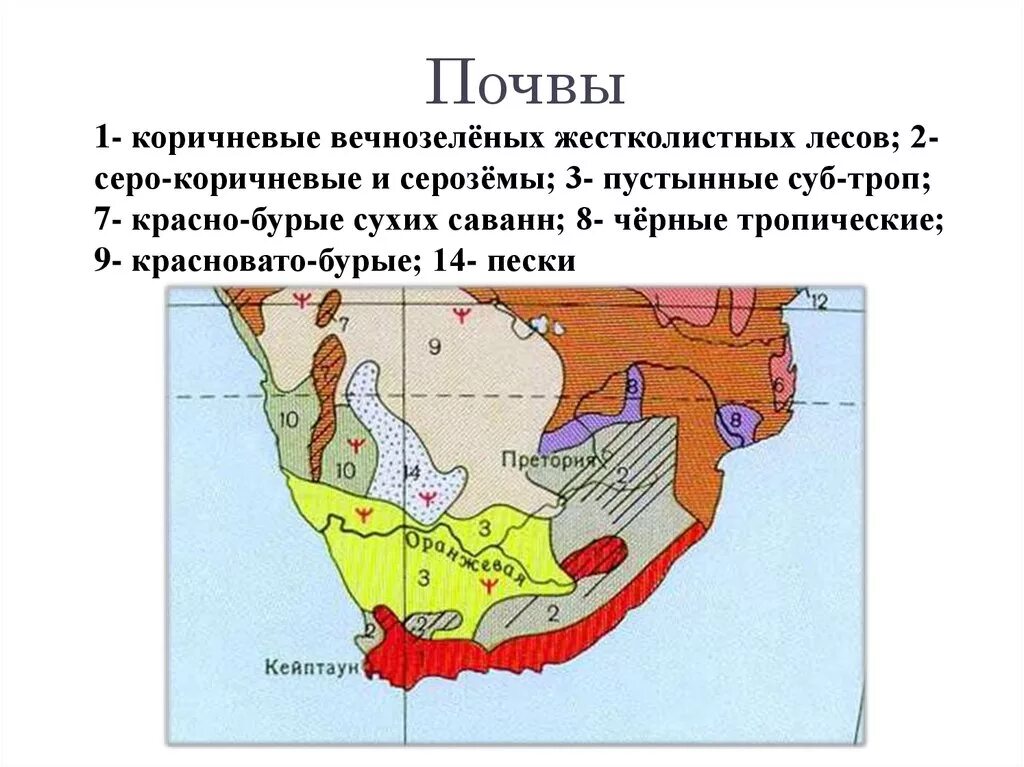 Почвы ЮАР карта. Почвенные ресурсы ЮАР карта. Почвы Южной Африки. Почвенные ресурсы Африки карта. Климатический пояс жестколистных лесов
