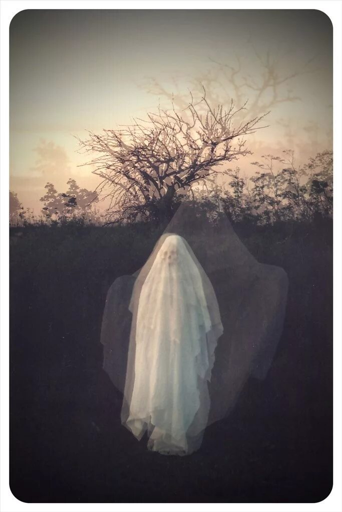 What is a ghost