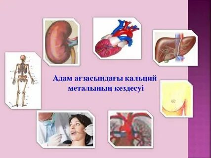 Жұтқыншақтардың фотосуреттері