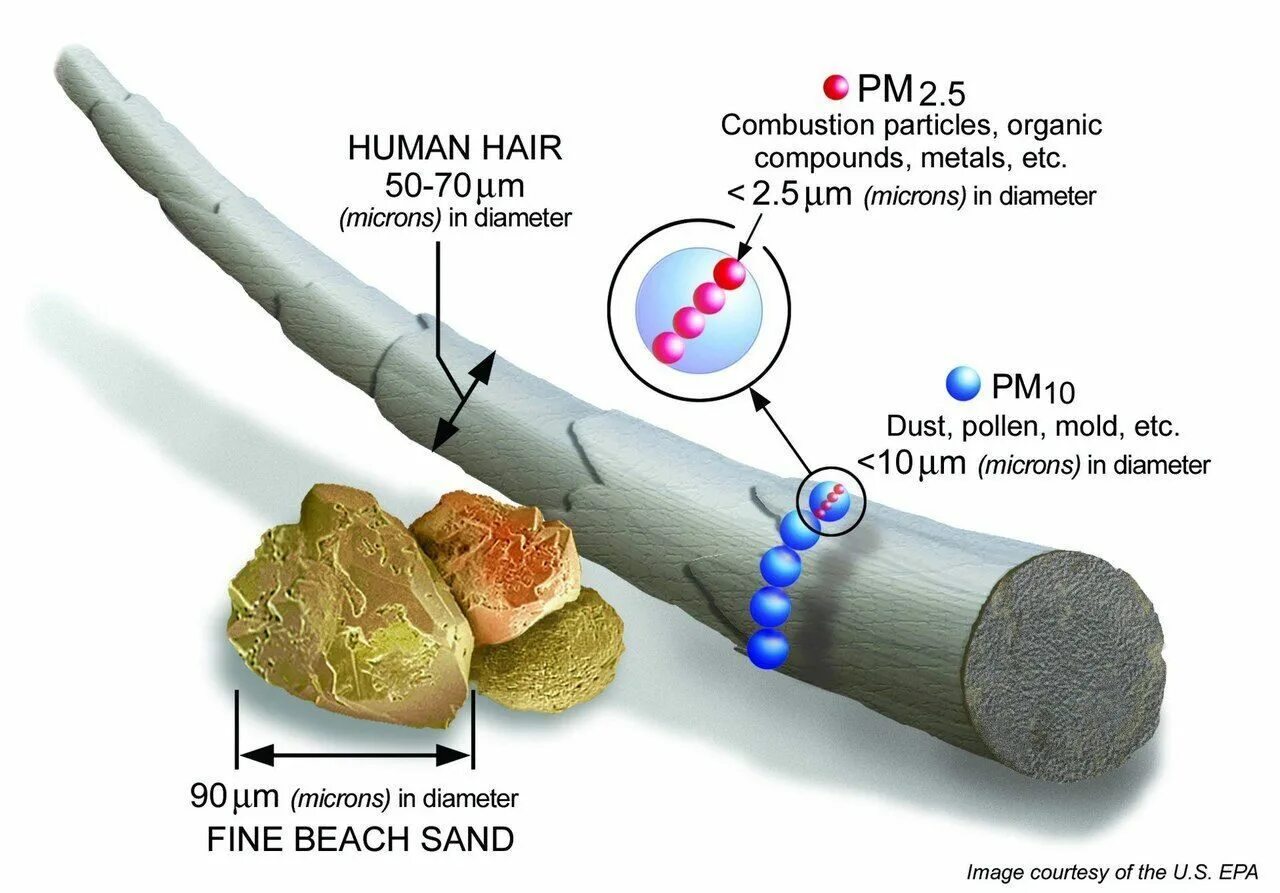 Pm 2.5 co2. Pm2.5 pm10 нормы. норма частиц pm 2.5. взвешенные частицы pm2.5 pm10. pm1.0 pm2.5 pm10.