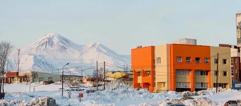 Художественная школа петропавловск камчатский