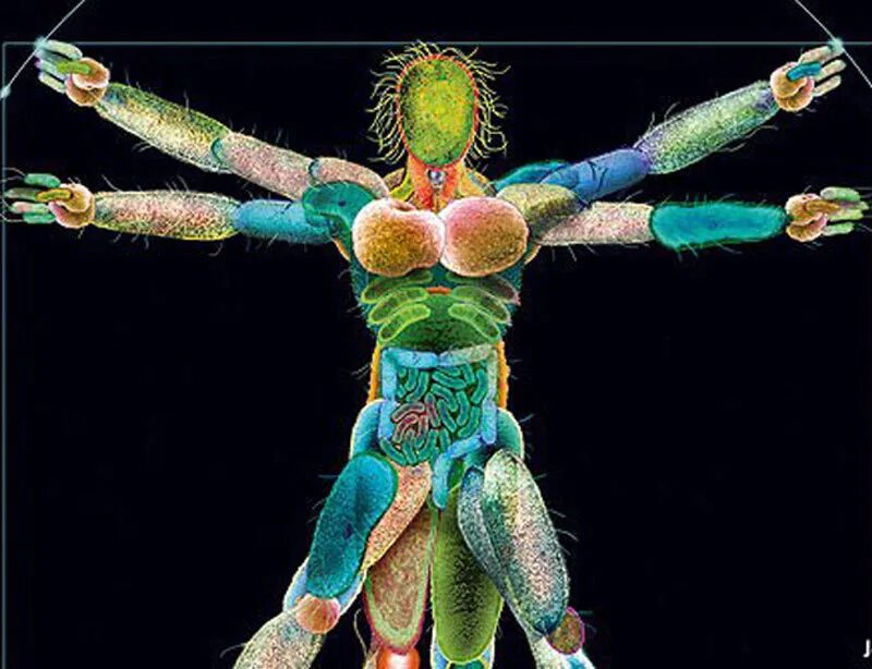 Break Through: The Caltech Campaign Raises $3.4 Billion to Support People and Re