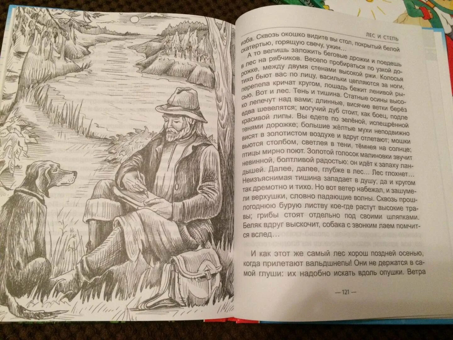 Тургенев бежин луг сколько страниц в книге. Бежин луг книга. лес и степь тургенев. произведение тургенева лес и степь. тургенев записки охотника лес и степь.