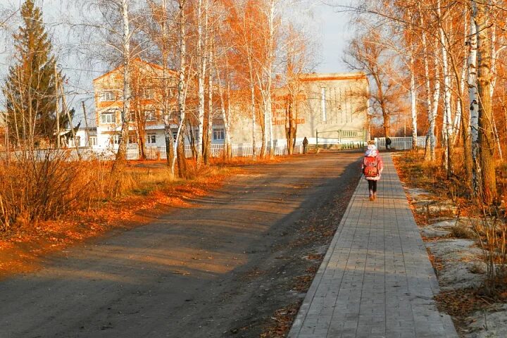 Щучьи пески воронежская область. Щучьи пески воронежская область. Село пески воронежская область. Борщевские пески. Щучьи пески воронежская область.