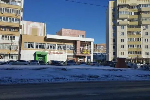 Галии кайбицкой