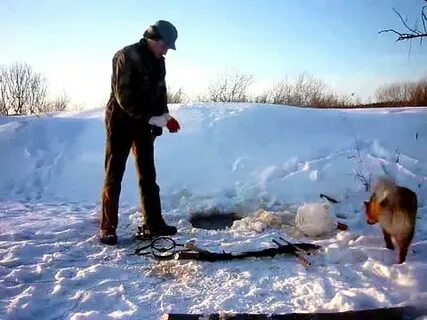 Промысловая охота канал деревенские будни видео
