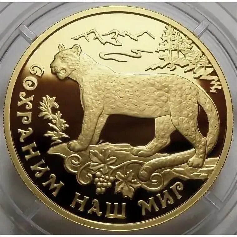 Золотая монета леопард 100 рублей. 100 Рублей ММД сохраним наш мир. Переднеазиатский леопард. Леопард — 2011 Золотая монета. Золотая монета сохраним наш мир леопард. Монета сохраним наш мир