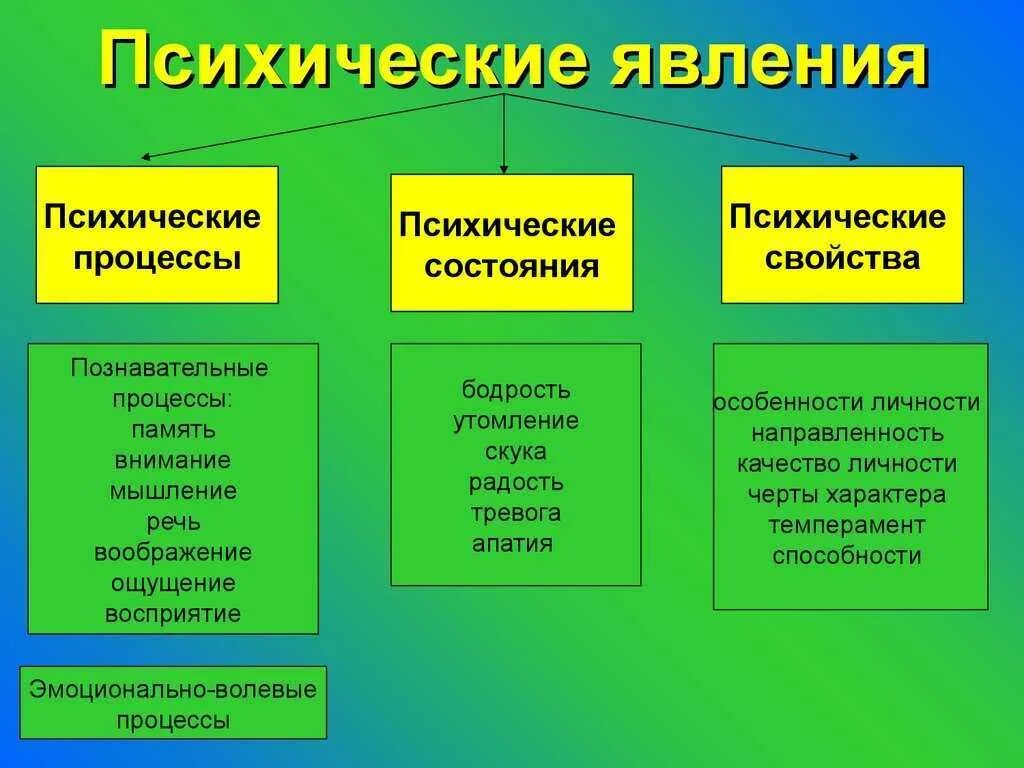 Примеры проявления внимания. Основные формы психических явлений. Психическим явлением является. Психических явлений (процессы, свойства и состояния) пример. Психологические явления.