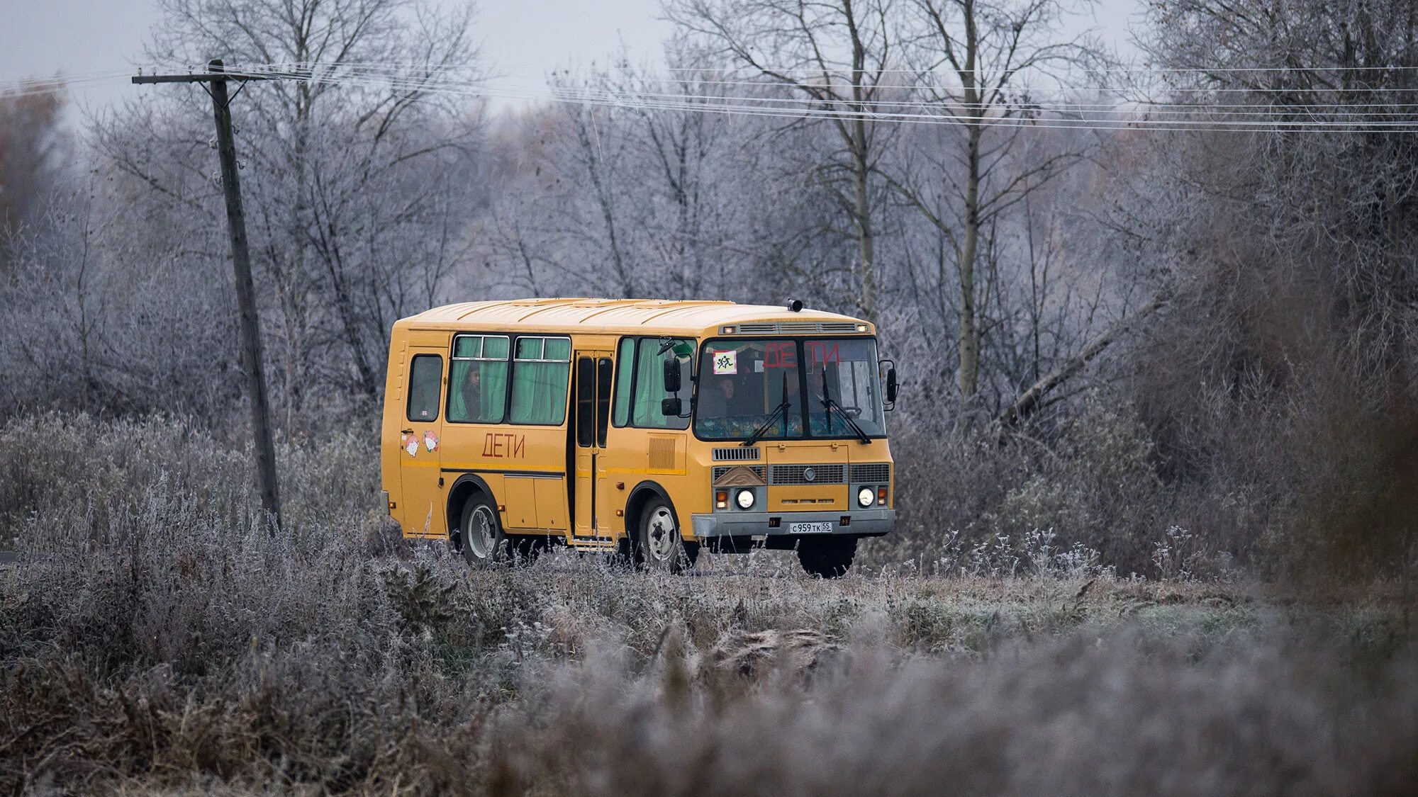Автобусы старые дороги. Автобус. Школьный автобус. Школьный автобус в деревне. ПАЗ В лесу.