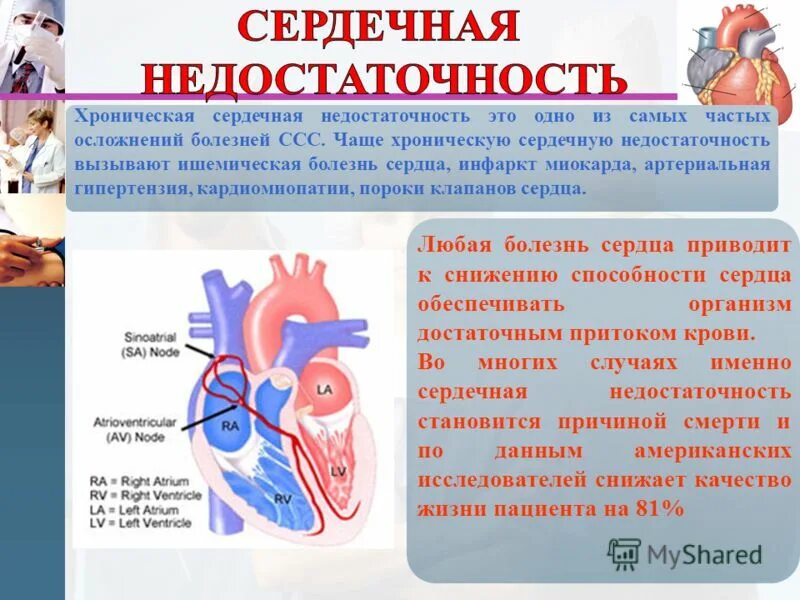 Профилактика болезней кровообращения