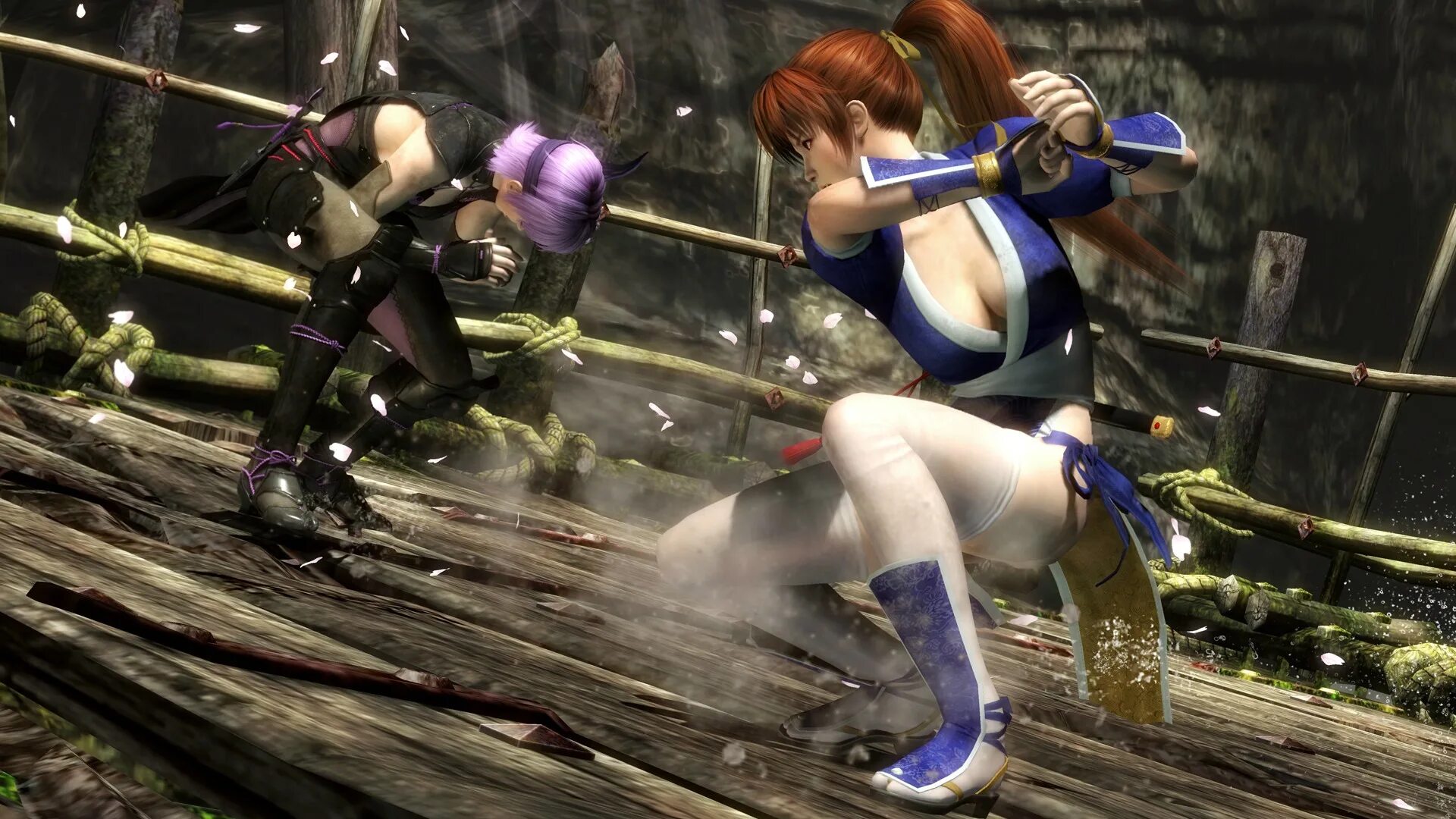 Файтинг с девушками. Файтинги dead or alive 5. dead or alive файтинг. dead or alive 5 ps3 бойцы. файтинг dead or alive 1.