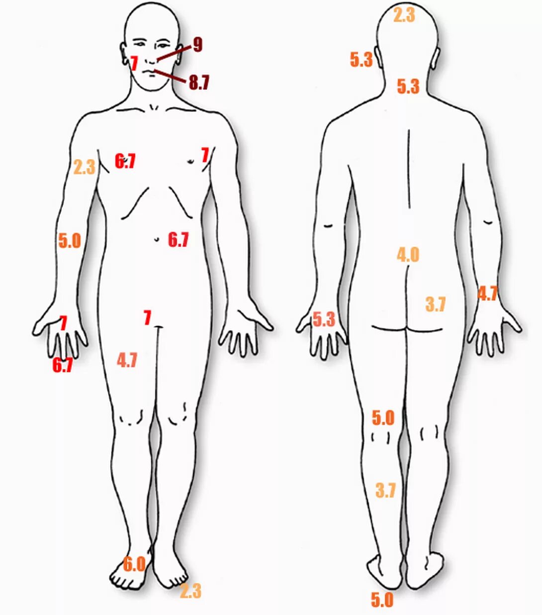 Наиболее уязвимые места на теле человека. Болевые точки человека куда бить. Болевые человека болевые точки на теле. Уязвимые места человека. 9 точка тела.