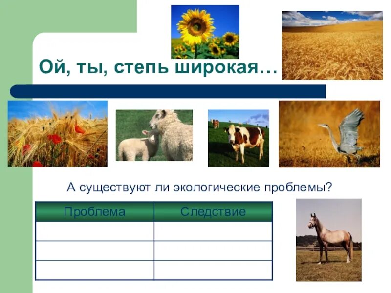 Одной из экологических проблем степной зоны является. Экологические проблемы степи. экологические проблемы степей россии. проблемы экологии степи. степи и человек экологические проблемы.