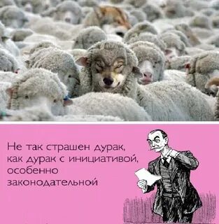 Став дурак дураком