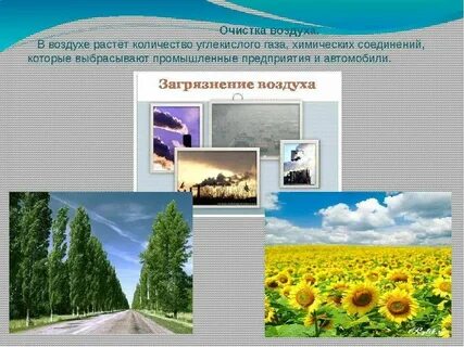 Очищенным воздухом предложение