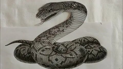 T snake