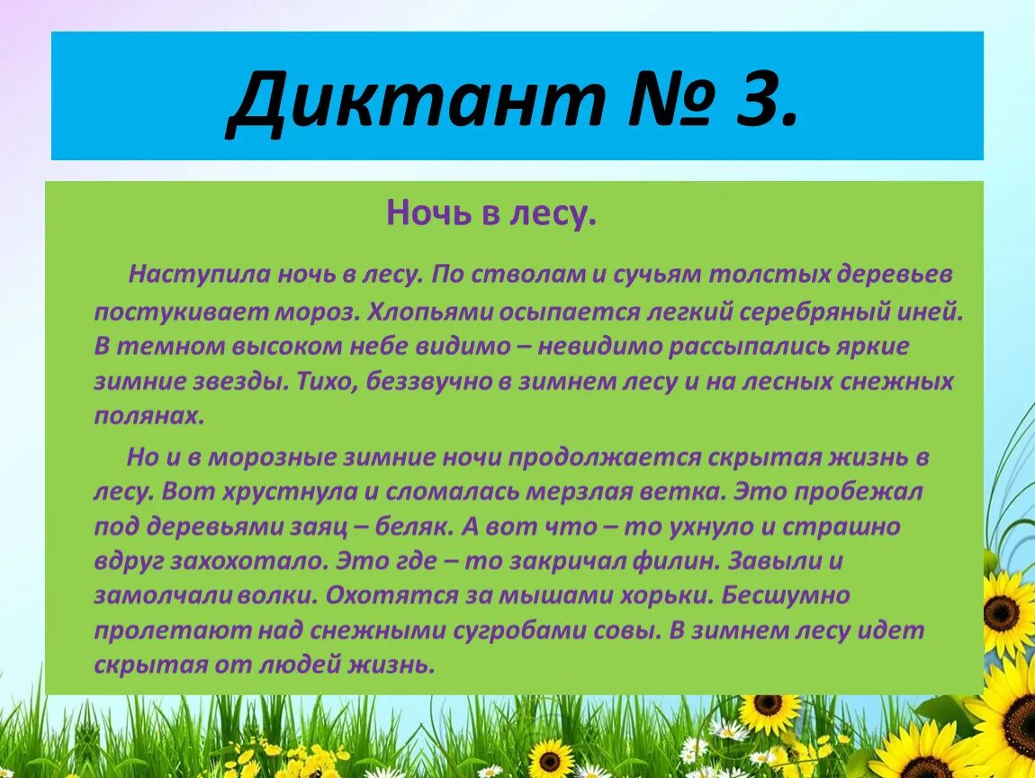 Диктант наступила ночь в лесу. Диктант в лесу. Диктант ночь. Текст ночь в лесу диктант.