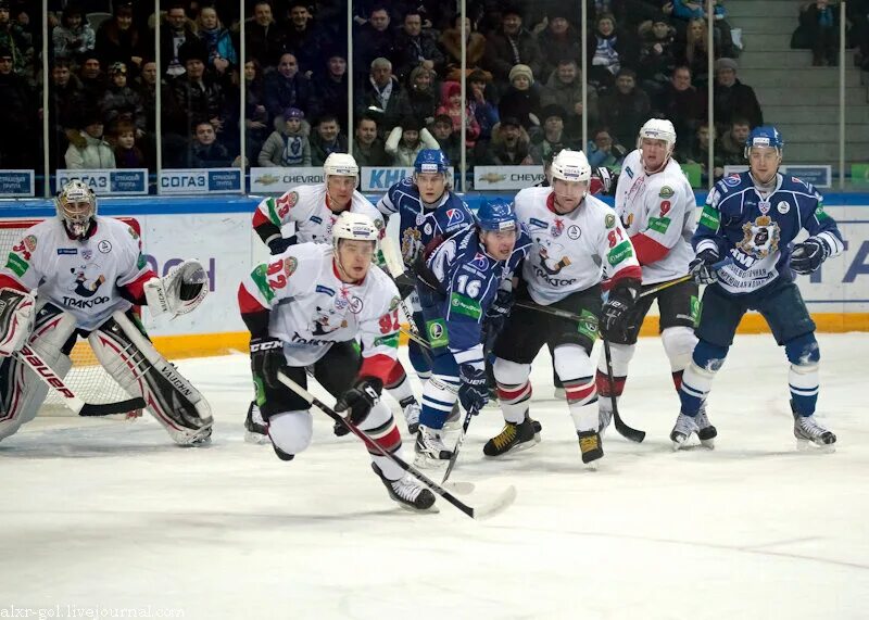 хоккеисты амур хабаровск. тигр команда амур хоккей хабаровск. хоккей хабаровск. кхл хабаровск. хоккейная команда амур хабаровск.