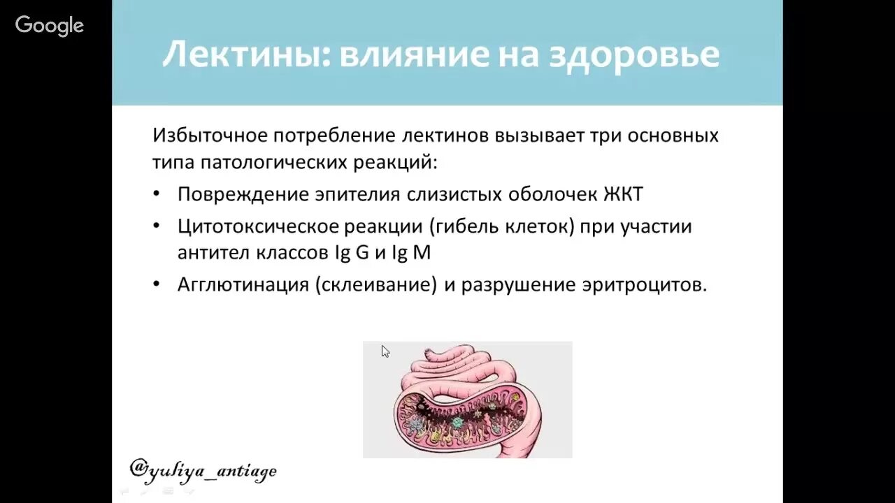 Лектины содержатся. Где содержатся лектины. лектины в каких продуктах содержится таблица. какие продукты содержат лектины. лектины растений.