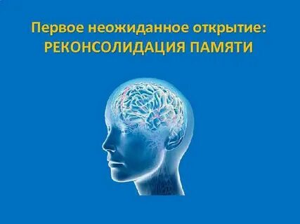 Неожиданно открылась