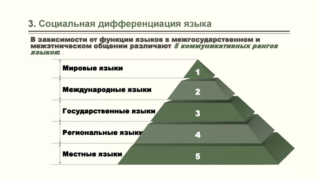 1 социальная дифференциация населения. Социальная дифференциация языка таблица. Социальная дифференциация языков. Территориальная и социальная дифференциация языка. Социальная дифференциация языка примеры.