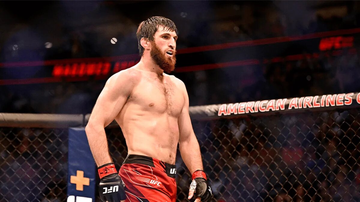 Анкалаев следующий бой. Магомед анкалаев боец ufc. анкалаев смит. анкалаев тейшейра. магомед анкалаев ян блахович.