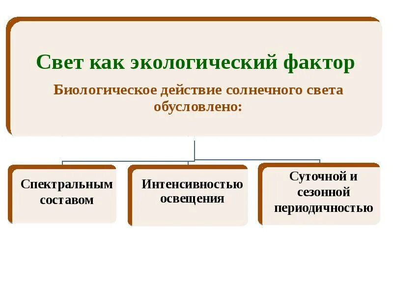 Пища какой экологический фактор. Свет как фактор окружающей среды. Свет как экологический фактор. Экологические факторы. Экологические факторы света.